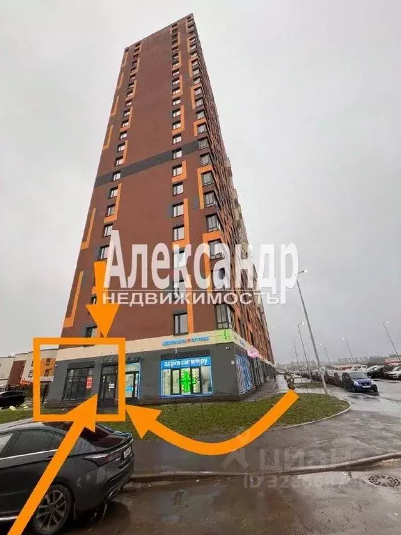 Торговая площадь в Ленинградская область, Всеволожский район, ... - Фото 1