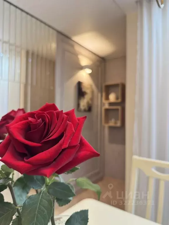 2-к кв. Омская область, Омск просп. Комарова, 21к2 (63.0 м) - Фото 1