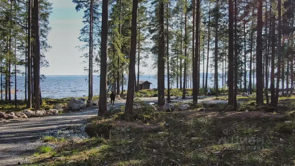 Дом в Карелия, Медвежьегорск ул. Омелина, 31 (75 м) - Фото 1