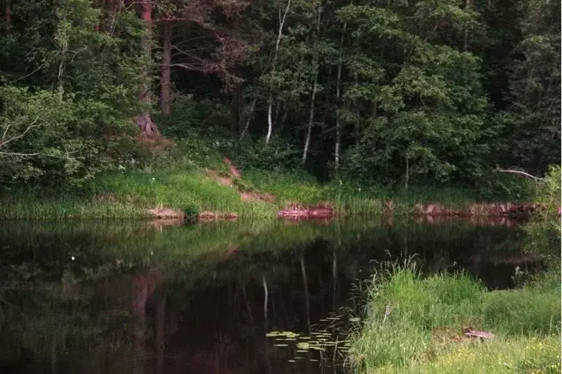 Дом в Тверская область, Селижаровский муниципальный округ, д. Шихино  ... - Фото 2