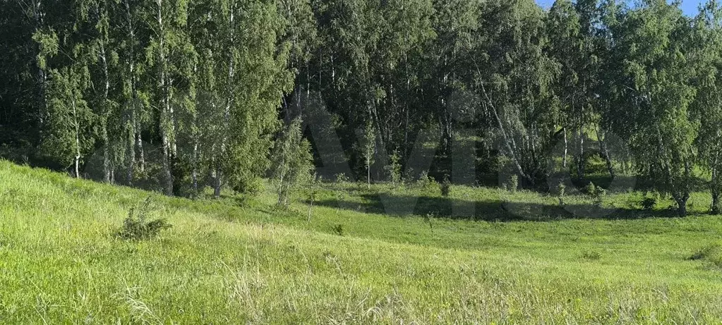 Участок 7 сот. (СНТ, ДНП) - Фото 1