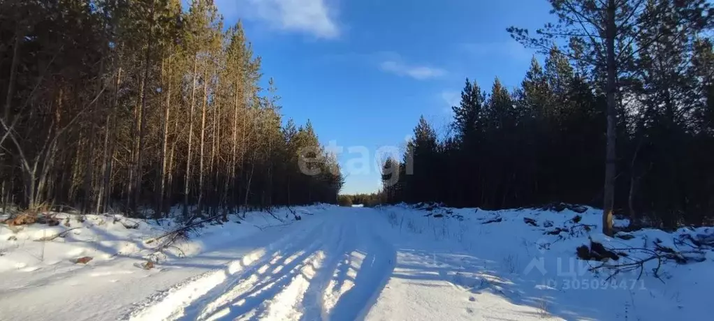 Участок в Свердловская область, Талица  (12.1 сот.) - Фото 0