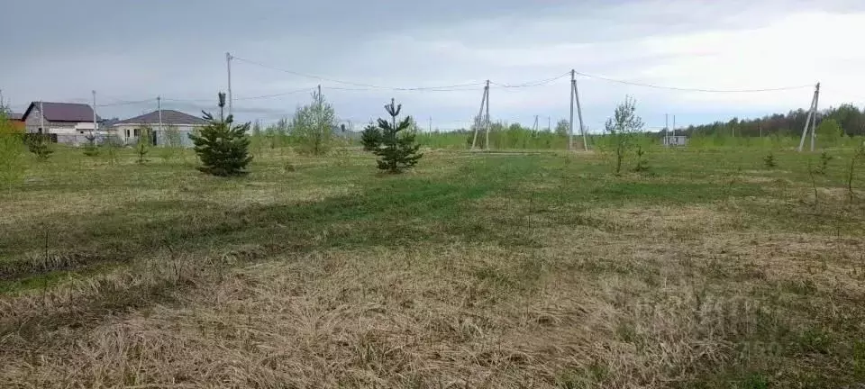 Участок в Московская область, Жуковский Союз-ЦАГИ СНТСН, Д-8 (7.66 ... - Фото 1