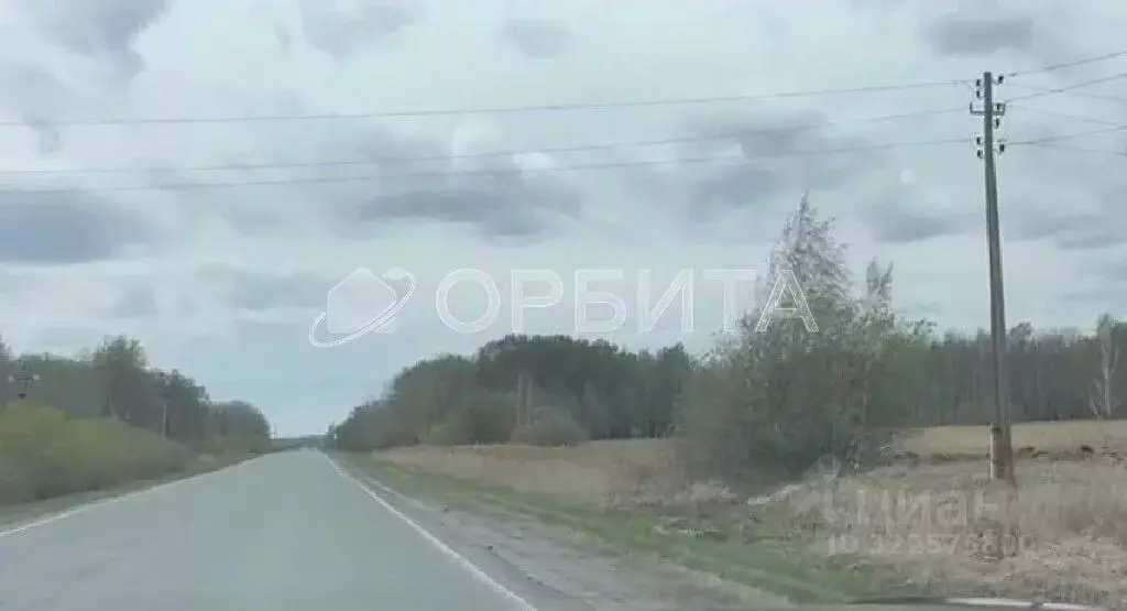 Участок в Свердловская область, Слободо-Туринский район, ... - Фото 1