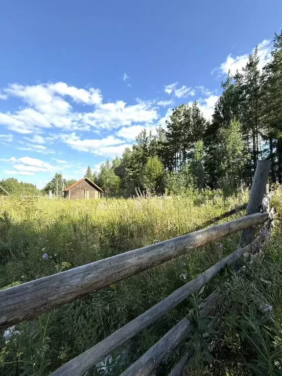 Участок 10 сот. (СНТ, ДНП) - Фото 0