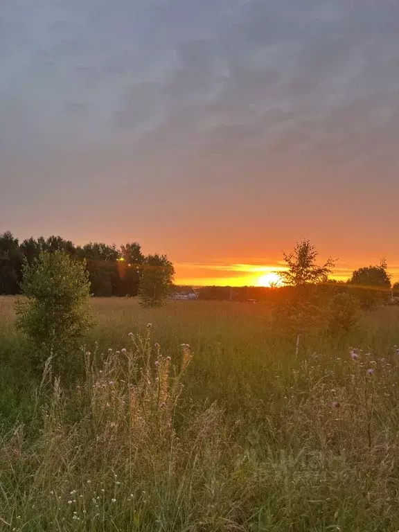 Участок в Кемеровская область, Кемеровский муниципальный округ, с. ... - Фото 1