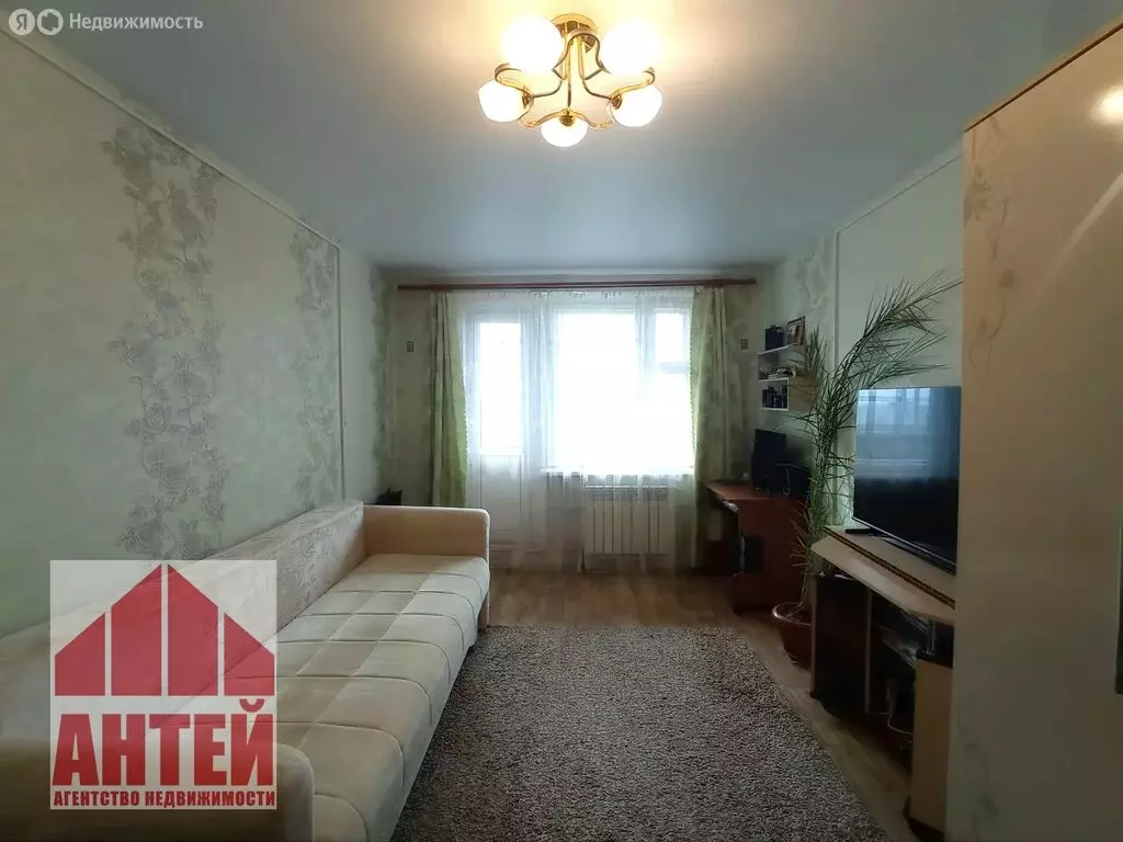 1-комнатная квартира: Павлово, улица Правика, 1к4 (32.9 м) - Фото 1