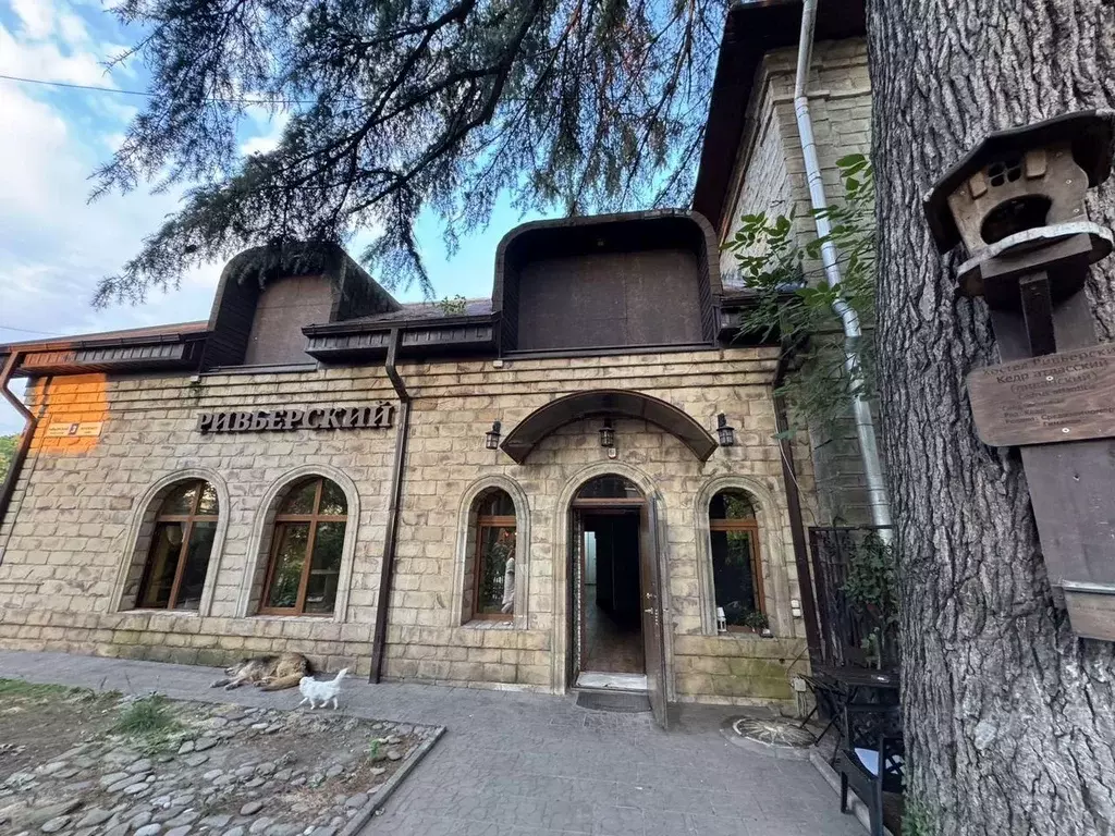 Помещение свободного назначения в Краснодарский край, Сочи Центральный ... - Фото 1