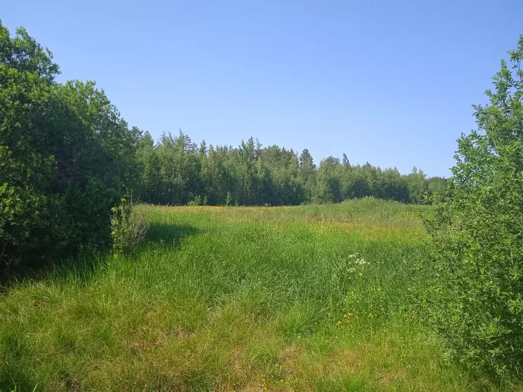 Участок в Новгородская область, Новгородский район, Бронницкое с/пос, ... - Фото 0