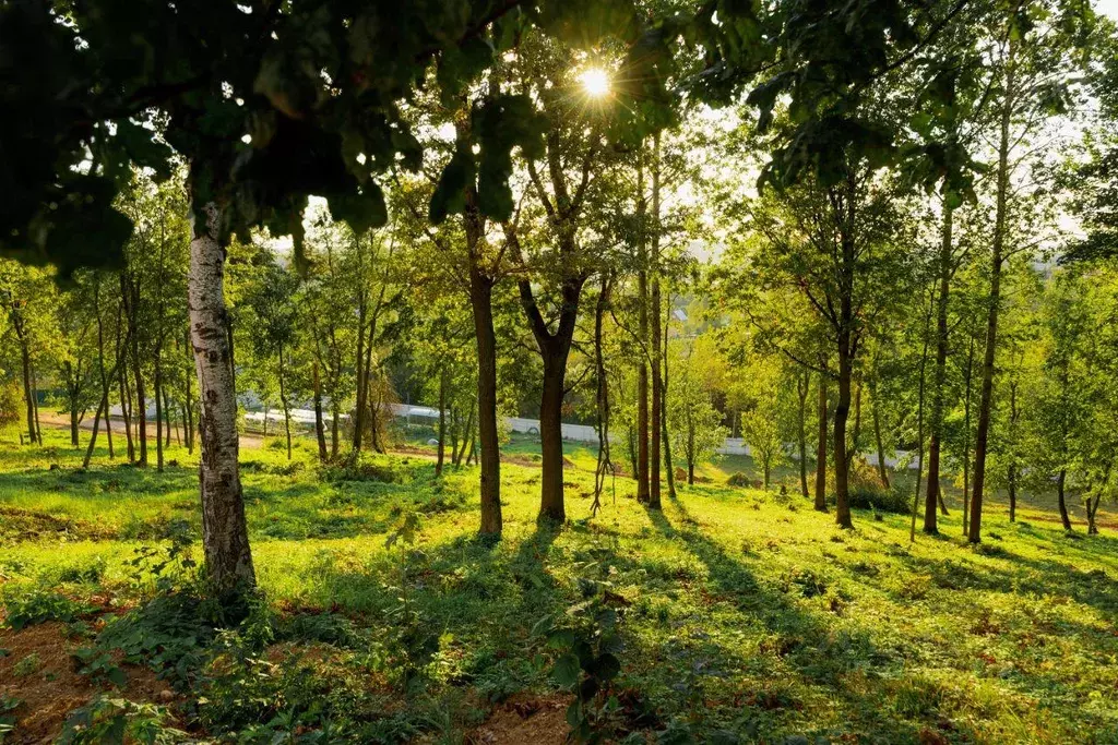 Участок, 10.3 сот., поселения (ижс) - Фото 2