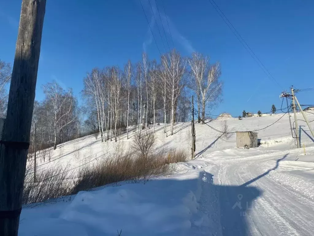 Участок в Новосибирская область, Новосибирский район, Барышевский ... - Фото 2