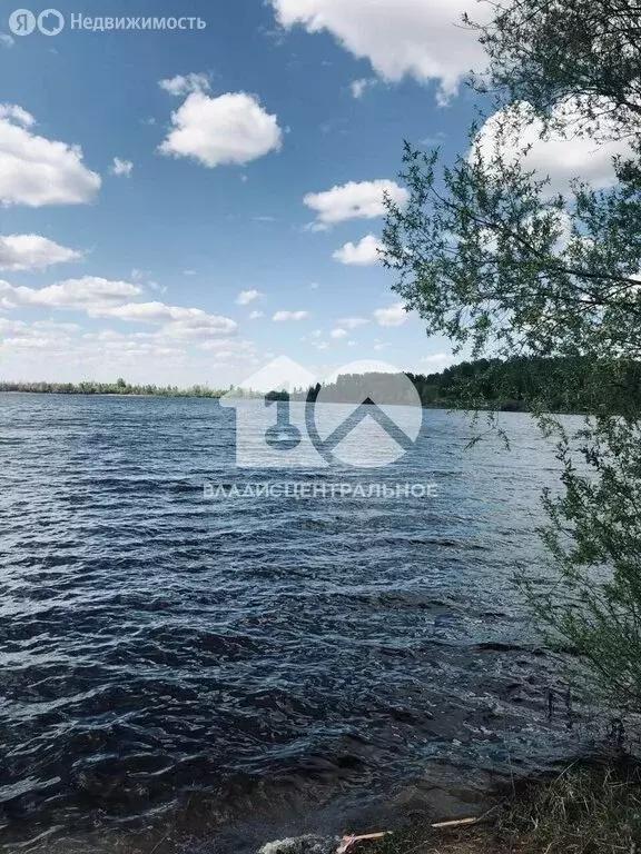 Участок в Криводановка, Лесная улица (15 м) - Фото 1