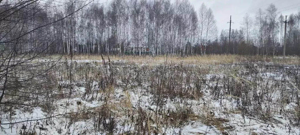 Участок в Московская область, Кашира Ожерелье мкр, ул. Березовая ... - Фото 0