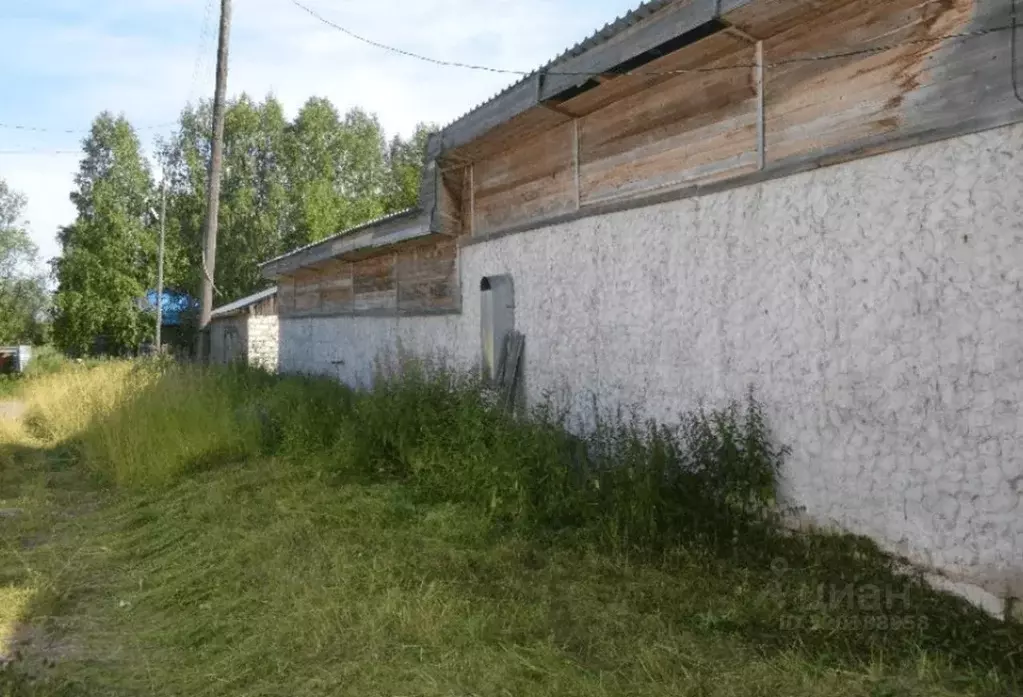 Помещение свободного назначения в Коми, Троицко-Печорский ... - Фото 0