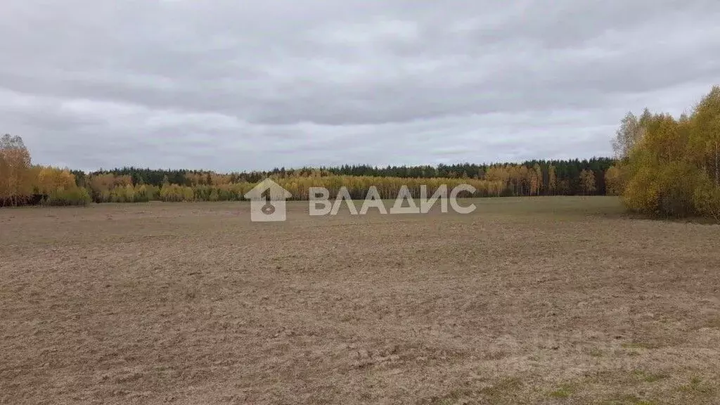 Участок в Нижегородская область, Павловский район, д. Самойловка  ... - Фото 1