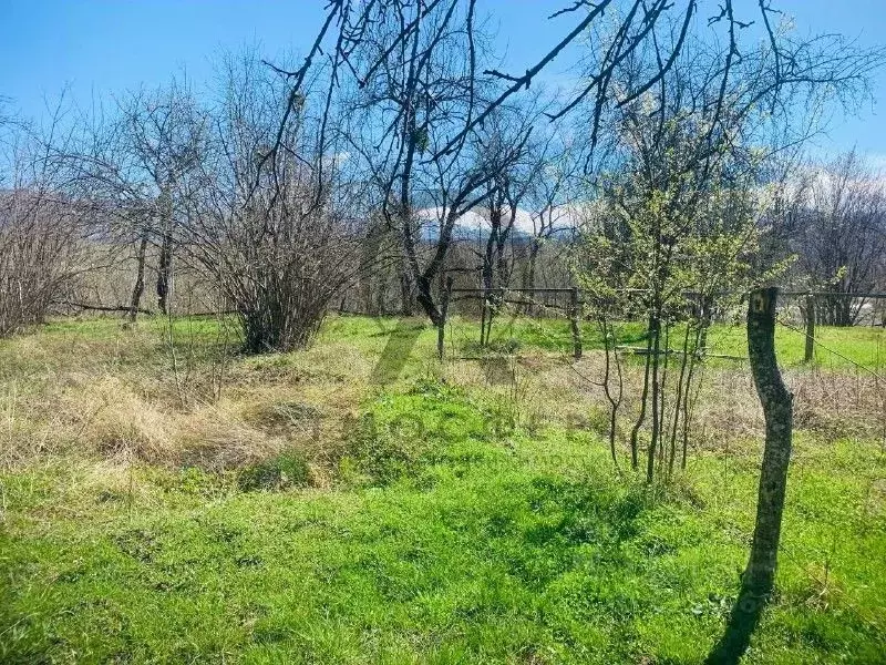 Купить Участок В Красном Дагестане Апшеронский Район