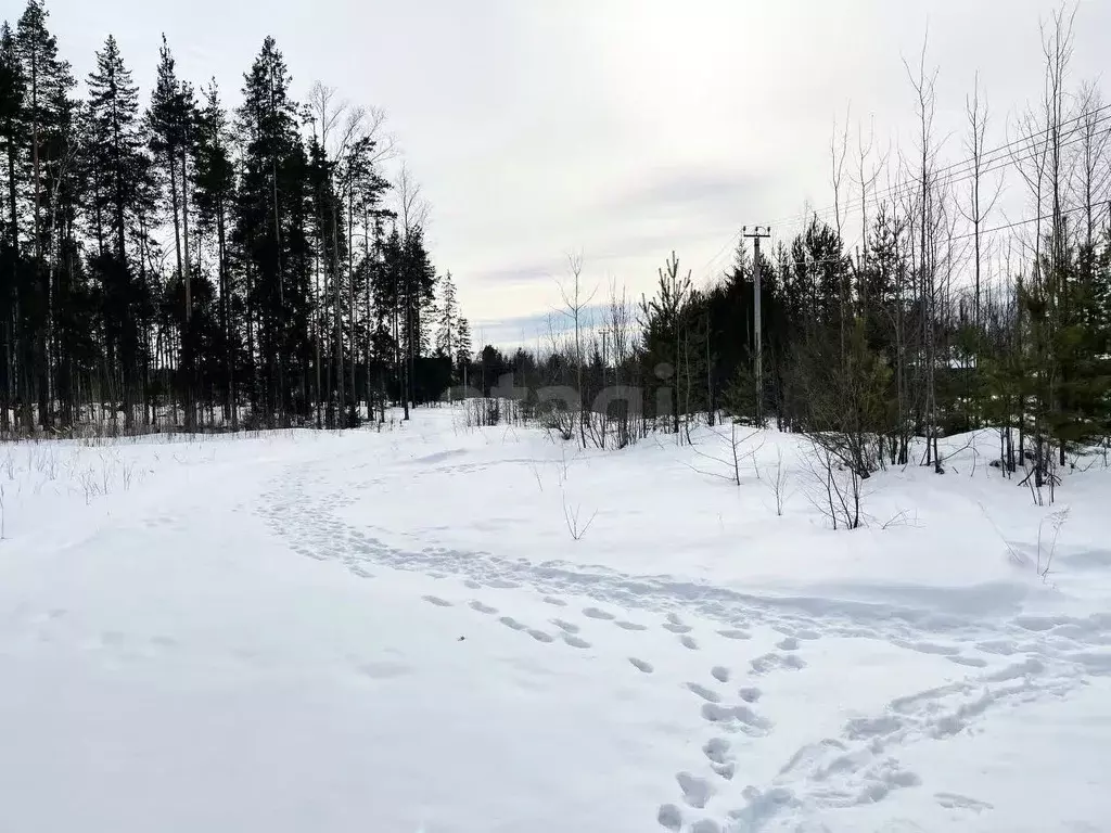 Участок в Коми, Сыктывкар городской округ, Краснозатонский пгт ул. ... - Фото 1