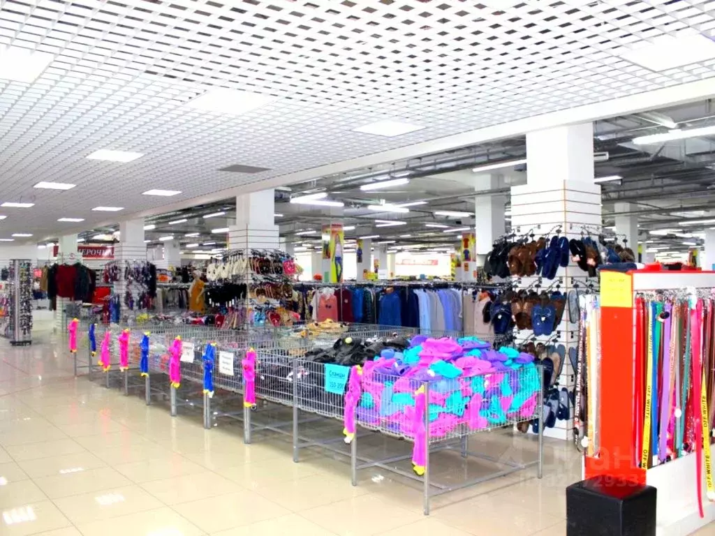 Помещение свободного назначения в Пензенская область, Кузнецк Западный ... - Фото 2