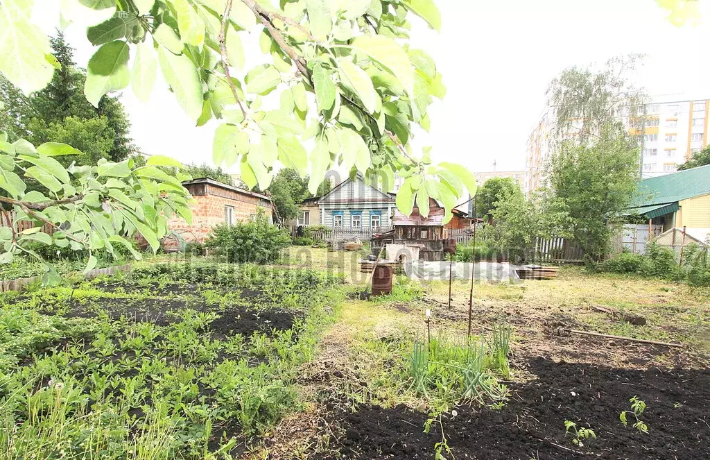 Дом в Саранск, улица Евсевьева, 41 (73.3 м) - Фото 2