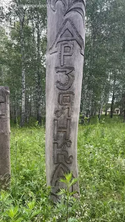 Дом в Большемеликское муниципальное образование, посёлок Арзянка, ... - Фото 2