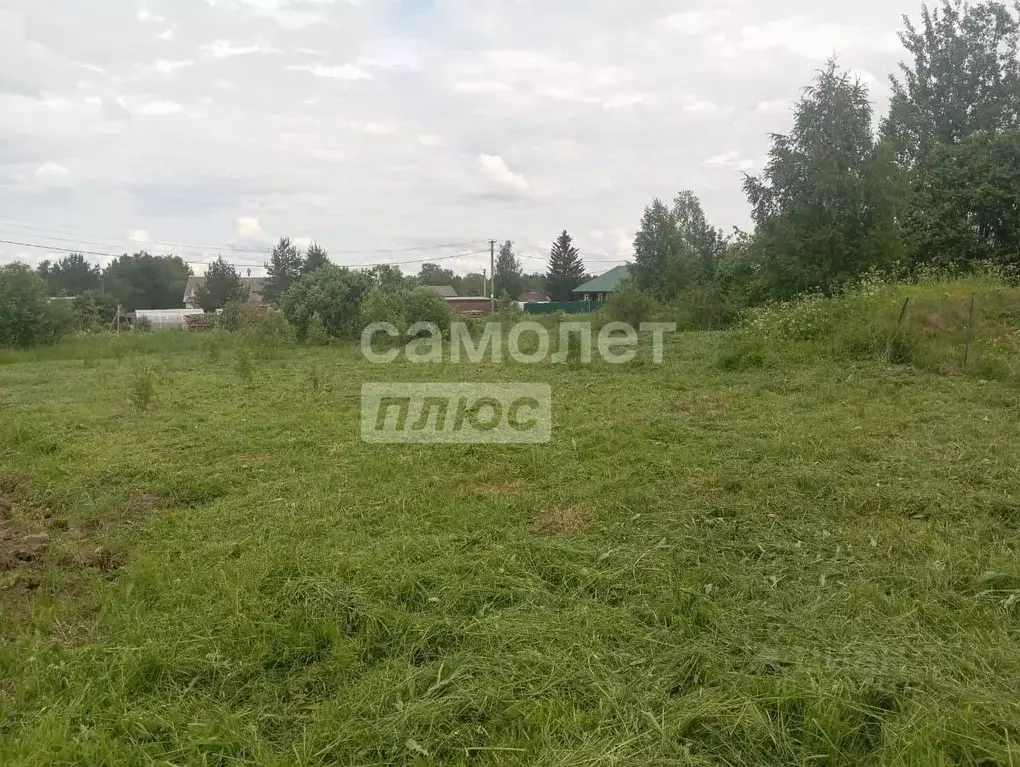 Участок в Вологодская область, д. Винниково 1 (13.0 сот.) - Фото 2