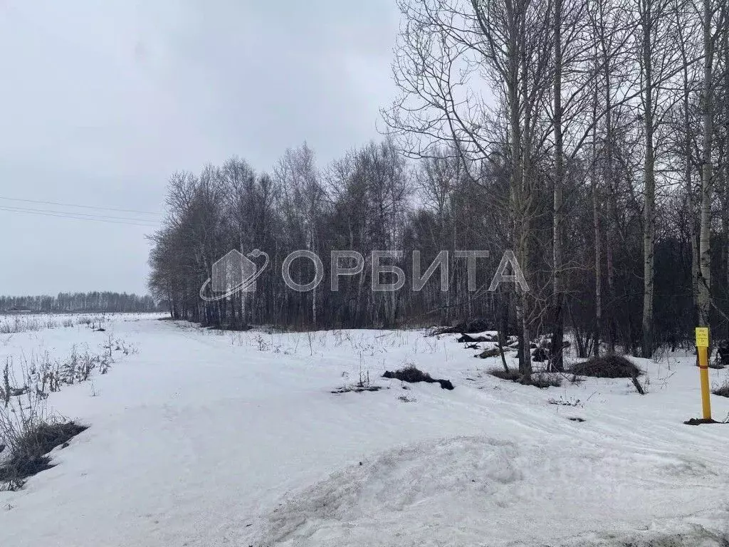 Участок в Тюменская область, Тюменский район, д. Ушакова Зеленая ул. ... - Фото 0