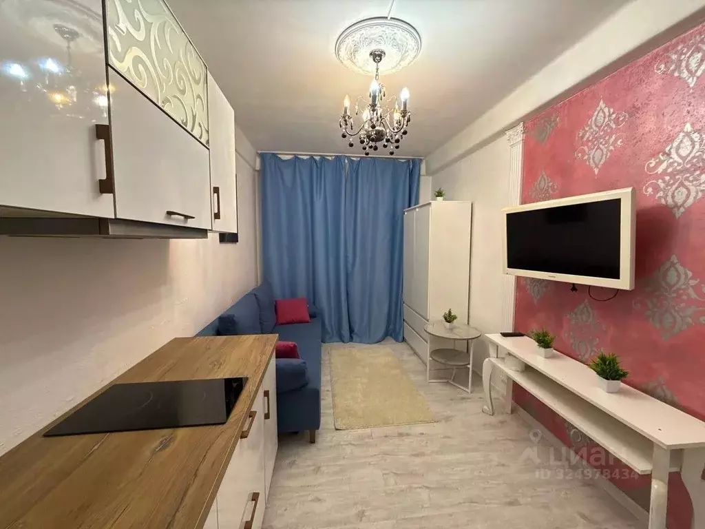 Студия Санкт-Петербург Витебский просп., 41К3 (14.0 м) - Фото 1