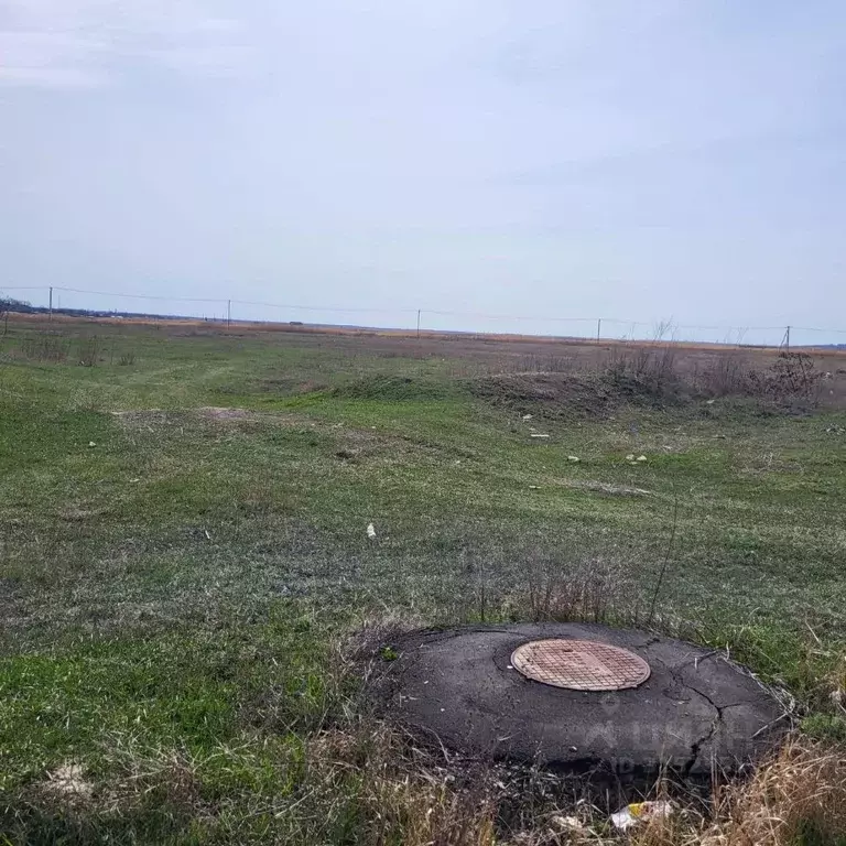 Участок в Ростовская область, Неклиновский район, с. Николаевка ... - Фото 0