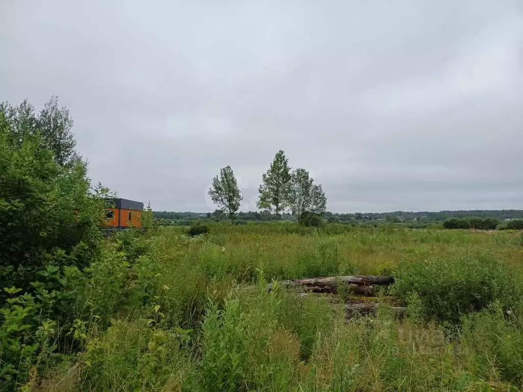 Участок в Псковская область, Псковский район, Тямшанская волость, д. ... - Фото 2