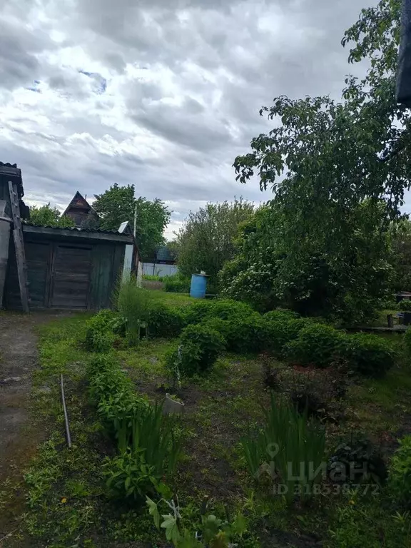 Дом в Новосибирская область, Новосибирск Сокольническая ул., 134 (60 ... - Фото 1