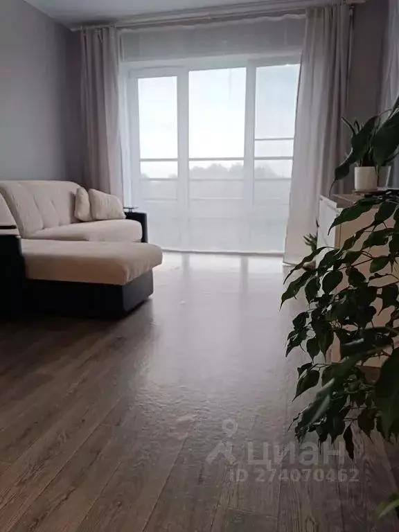 Студия Новгородская область, Великий Новгород наб. Колмовская, 71Б ... - Фото 2