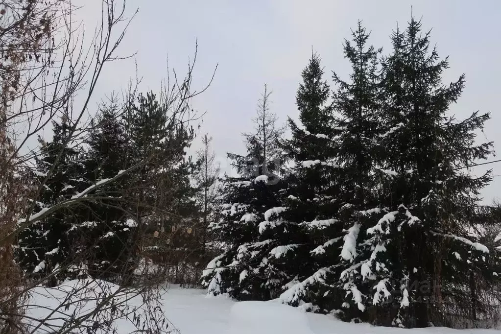 Дом в Московская область, Дмитровский муниципальный округ, Амарант СНТ ... - Фото 2