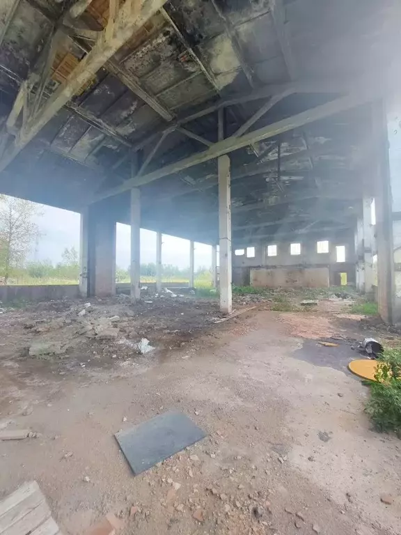 Производственное помещение в Ленинградская область, Гатчинский ... - Фото 2