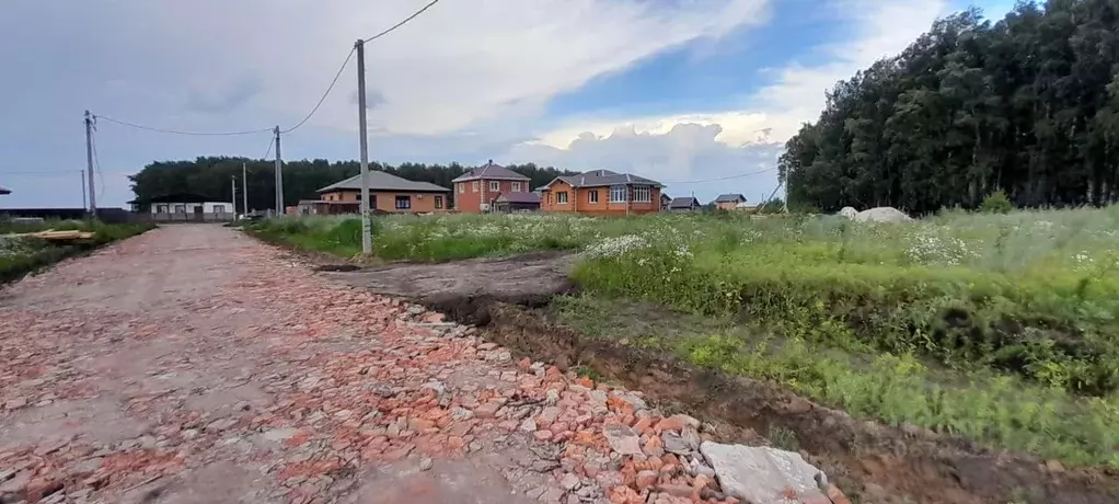 Участок в Омская область, Омский район, с. Пушкино ул. Шостаковича ... - Фото 1