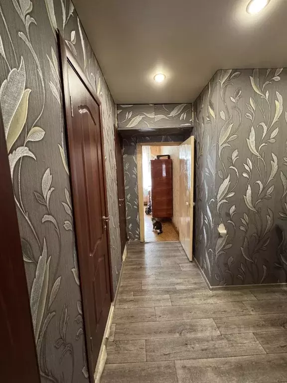 3-к кв. Саратовская область, Саратов Лесная ул., 2 (64.0 м) - Фото 1