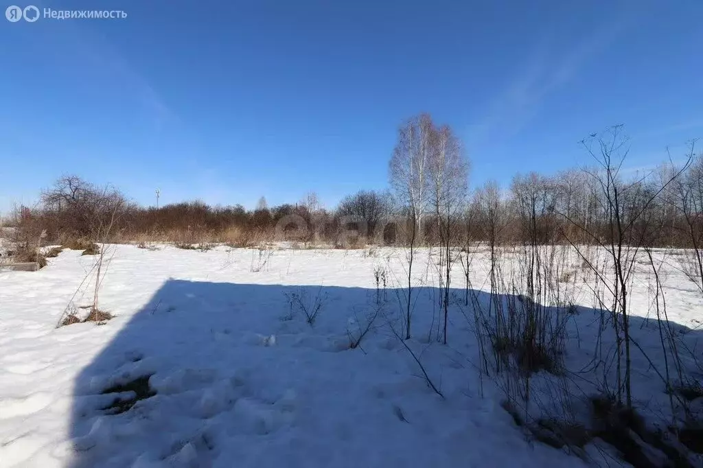 Участок в Тюменский муниципальный округ, садовое некоммерческое ... - Фото 2