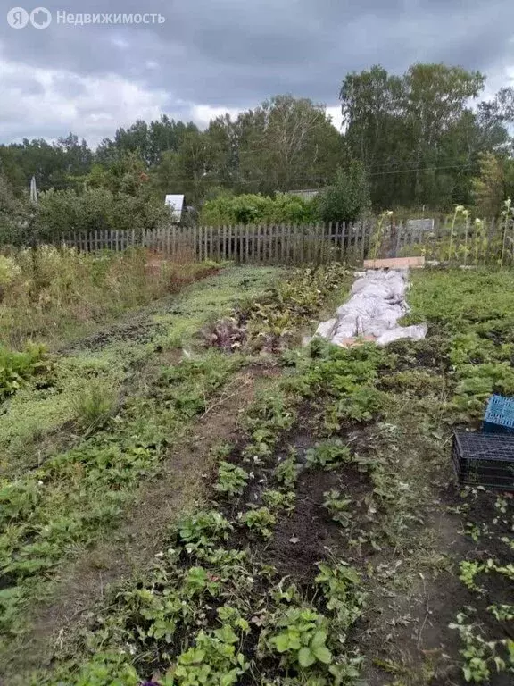 Участок в Бердск, СНТ Марьин Лог (6 м) - Фото 1