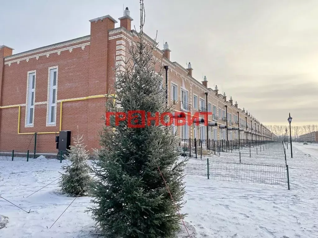 Таунхаус в Новосибирская область, Новосибирский район, Мичуринский ... - Фото 0