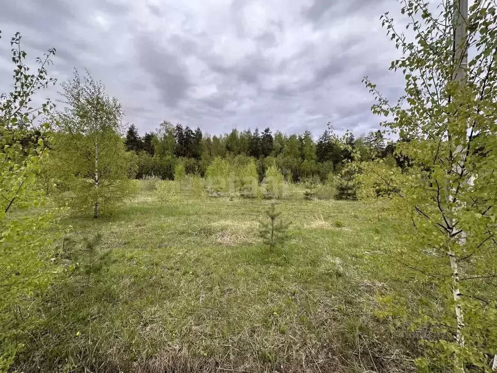 Участок в Владимирская область, Петушинский муниципальный округ, д. ... - Фото 2