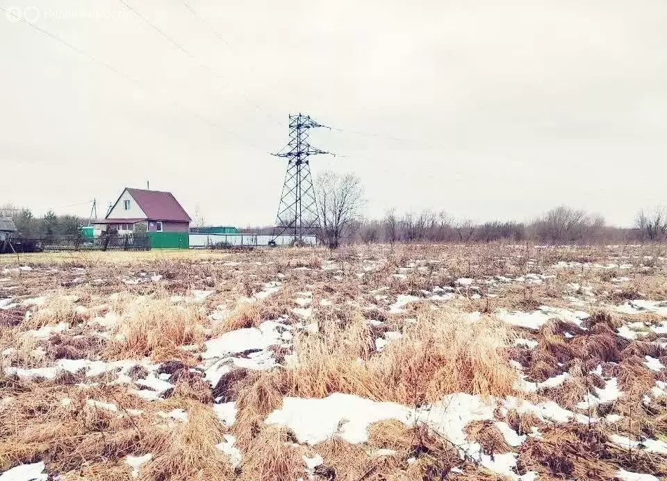 Участок в Архангельская область, Приморский муниципальный округ, ... - Фото 1