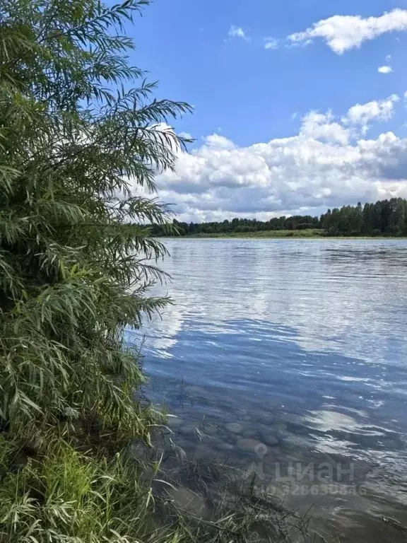 Участок в Алтай, Турочакский район, с. Озеро-Куреево  (46.0 сот.) - Фото 1