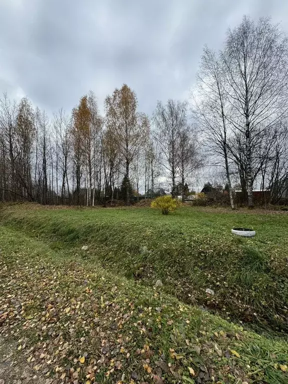 Участок в Вологодская область, Череповецкий район, Югское ... - Фото 0