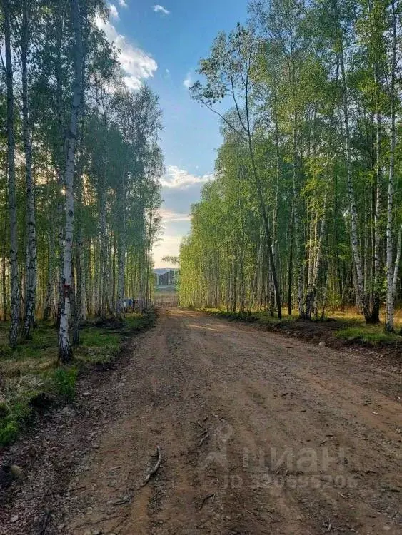 Участок в Иркутская область, Иркутский муниципальный округ, пос. Новая ... - Фото 1