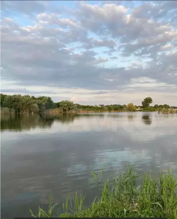 Участок в Краснодарский край, Динской район, Старомышастовская ст-ца  ... - Фото 1