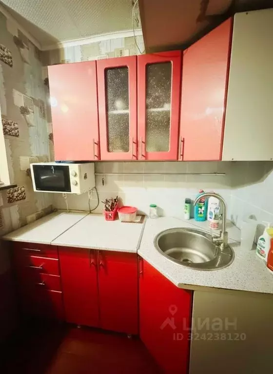 Студия Алтайский край, Бийск Ударная ул., 71 (13.0 м) - Фото 2