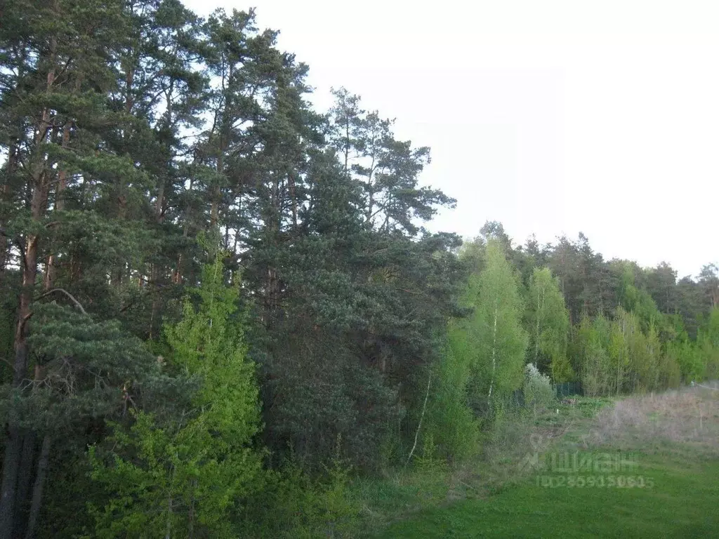 Участок в Московская область, Одинцовский городской округ, д. Маслово, ... - Фото 1