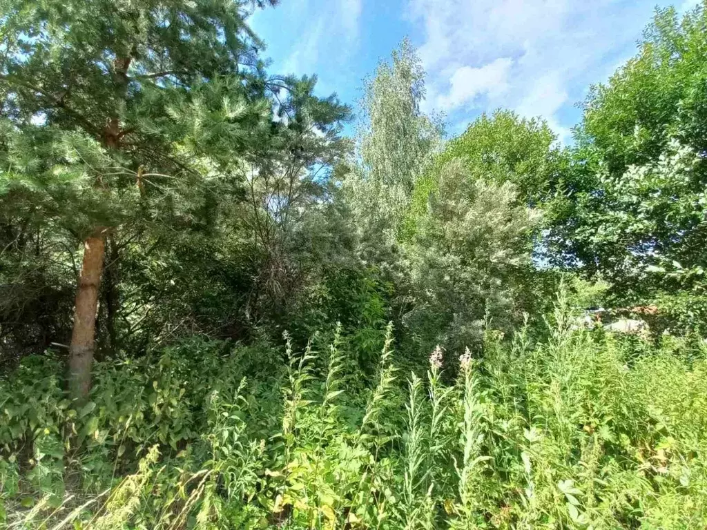 Участок в Владимирская область, Суздальский район, Селецкое ... - Фото 2