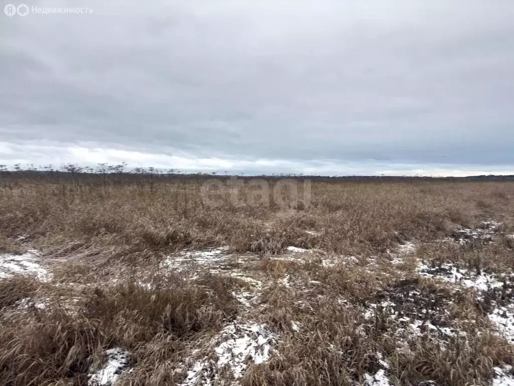 Участок в Пермский муниципальный округ, деревня Качка (20 м) - Фото 1