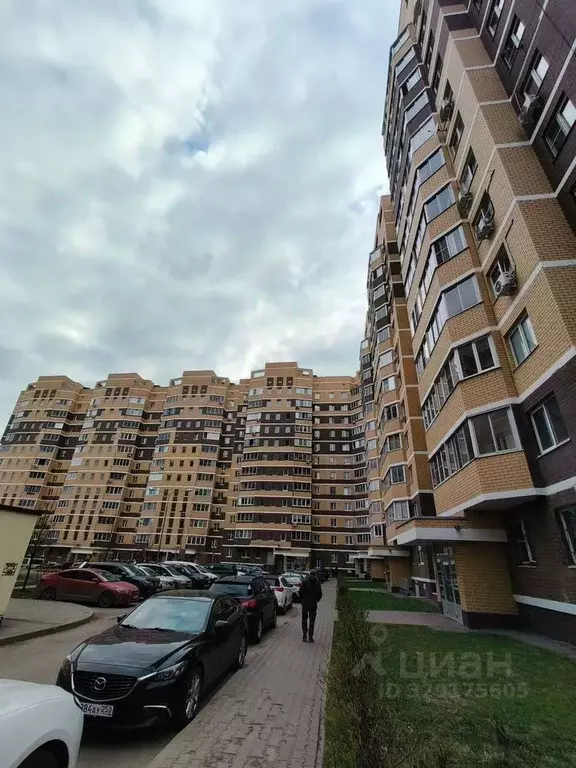 1-к кв. Московская область, Пушкино ул. Просвещения, 2 (33.0 м) - Фото 1