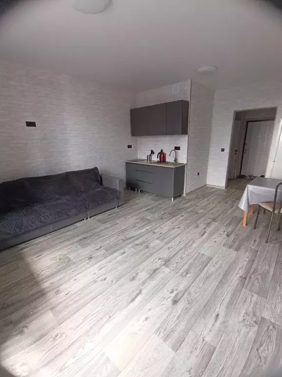 Студия Башкортостан, Уфа просп. Дружбы Народов, 61/1 (26.8 м) - Фото 2